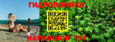 круглые Бердск