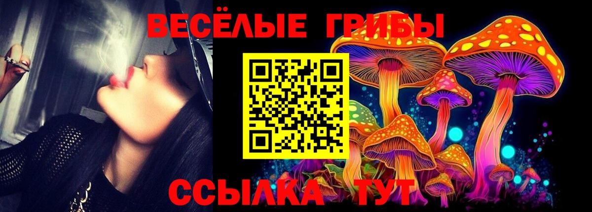 Киров  Галлюциногенные грибы ЛСД  Вход с VPN 